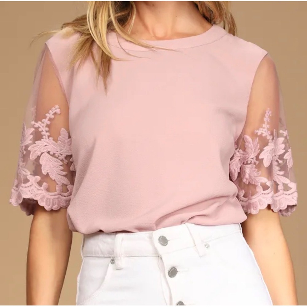 Lulus Dusty Rose Pink Mesh Floral Embroidered‎ Short Sleeve Top Size Medium NEW